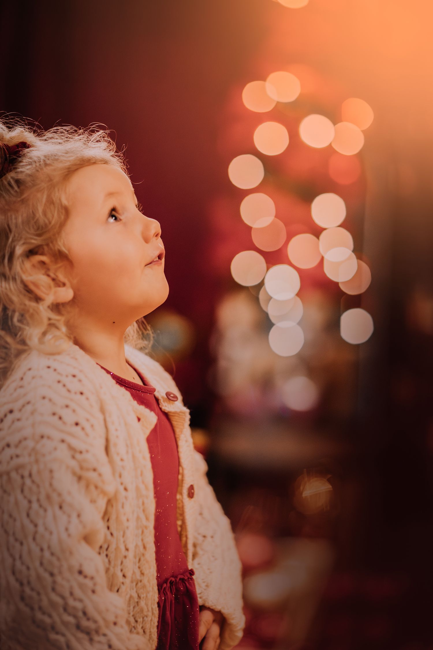 Shelves filled with festive Christmas ornaments and decorations in red and green colors.