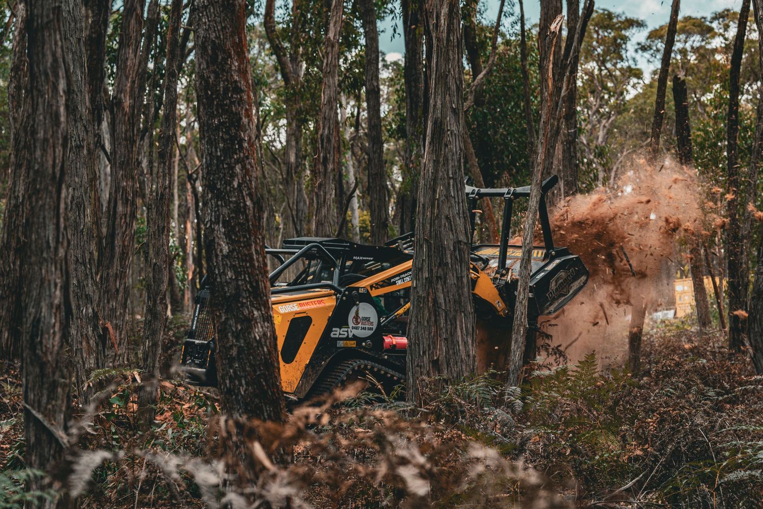 Construction machinery clearing forest land with trees and dust in natural setting.