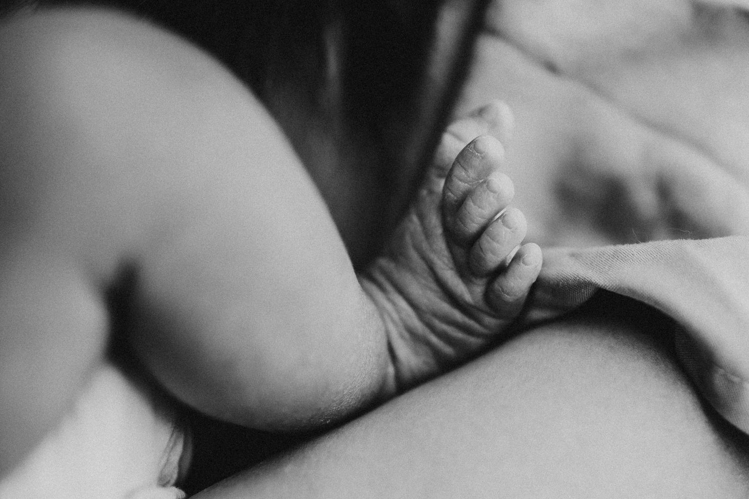 Close-up black and white image of a tiny baby foot against a soft background.