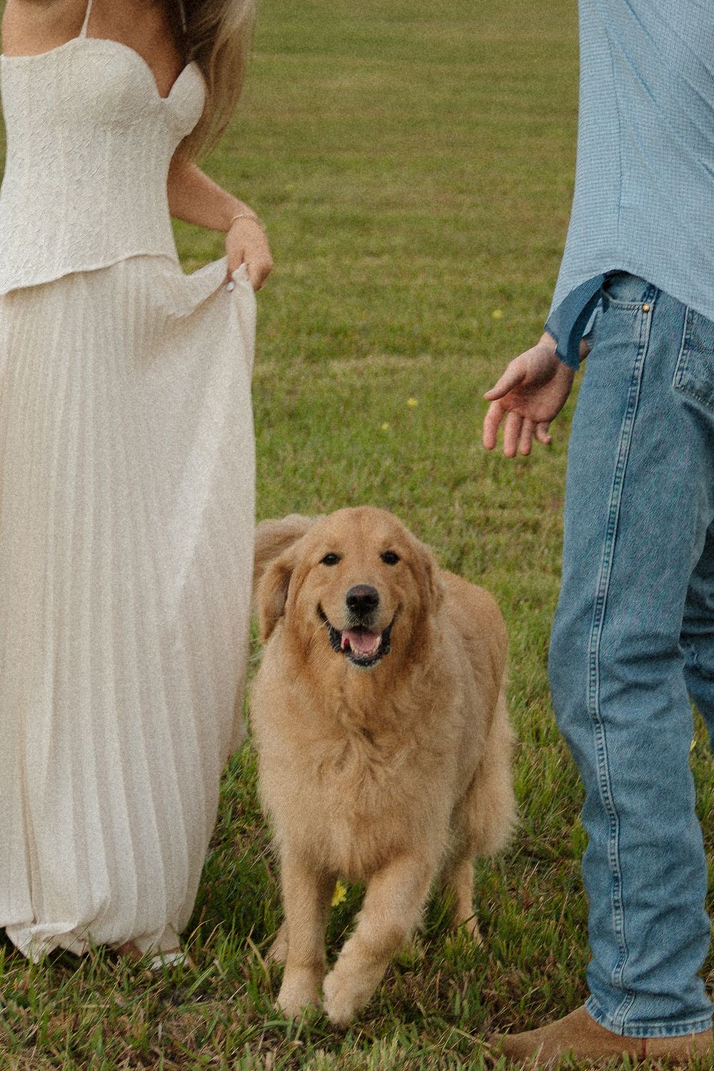 A golden retriever stands between a woman in a white wedding dress and a man in jeans on a green lawn.