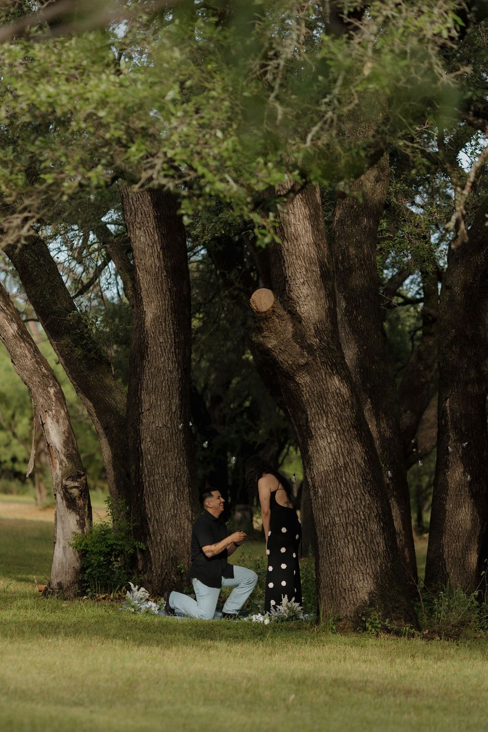 Man proposing on one knee to woman in black polka dot dress among large trees in a lush green park.