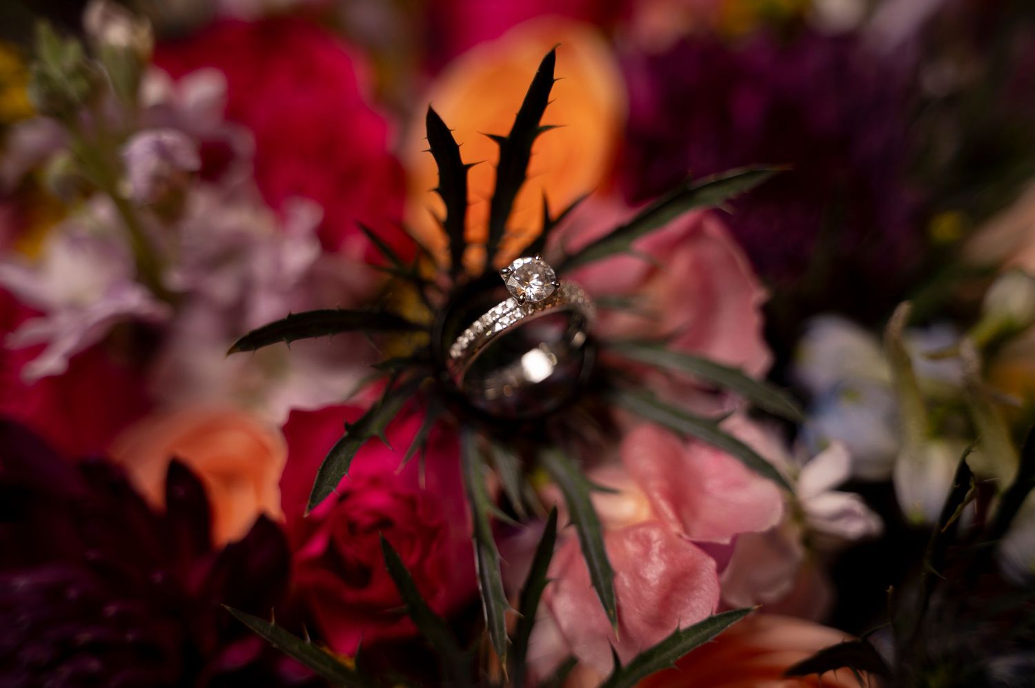 Wedding, same sex, couples, Texas photographer
