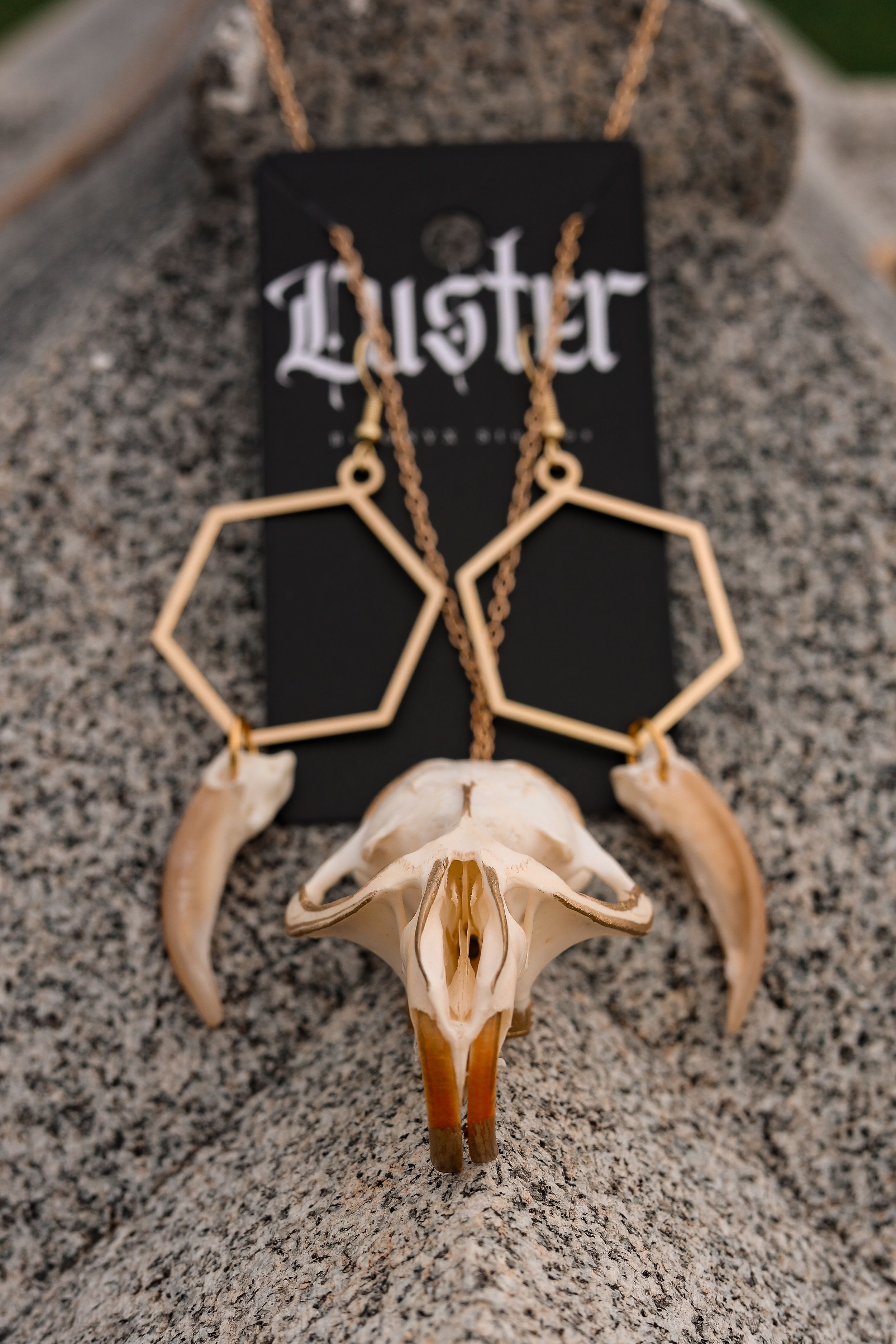 Gothic-style hexagonal earrings with animal skull pendant on a black Luster branded card.