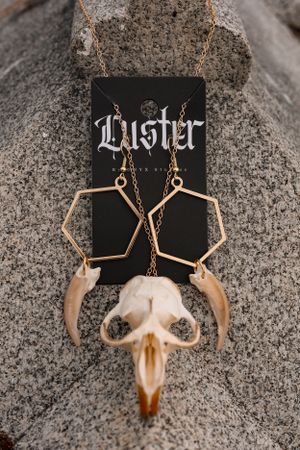 Gold geometric hexagon necklace with animal skull pendant displayed on black Luster brand jewelry card.