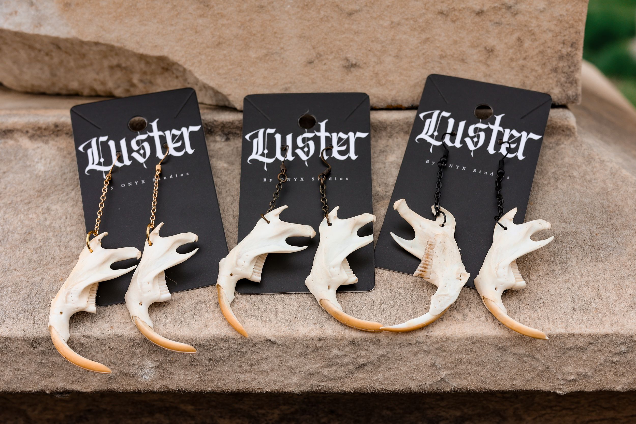 Set of white lizard-shaped earrings displayed on black Luster branded jewelry cards.