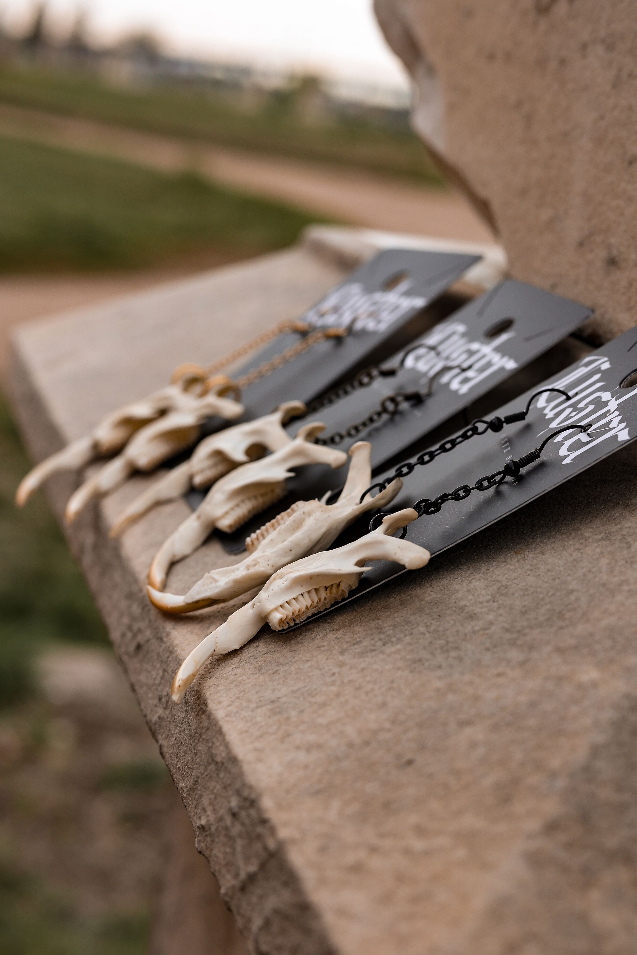White lizard-shaped jewelry pieces displayed on black branded cards on a stone ledge.
