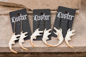 Multiple white gecko-shaped jewelry pieces displayed on black Luster branded cards.