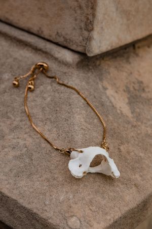 White animal skull pendant on gold chain necklace against stone surface.