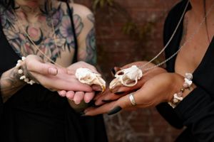 Tattooed hands holding small white animal skulls with jewelry and rings.