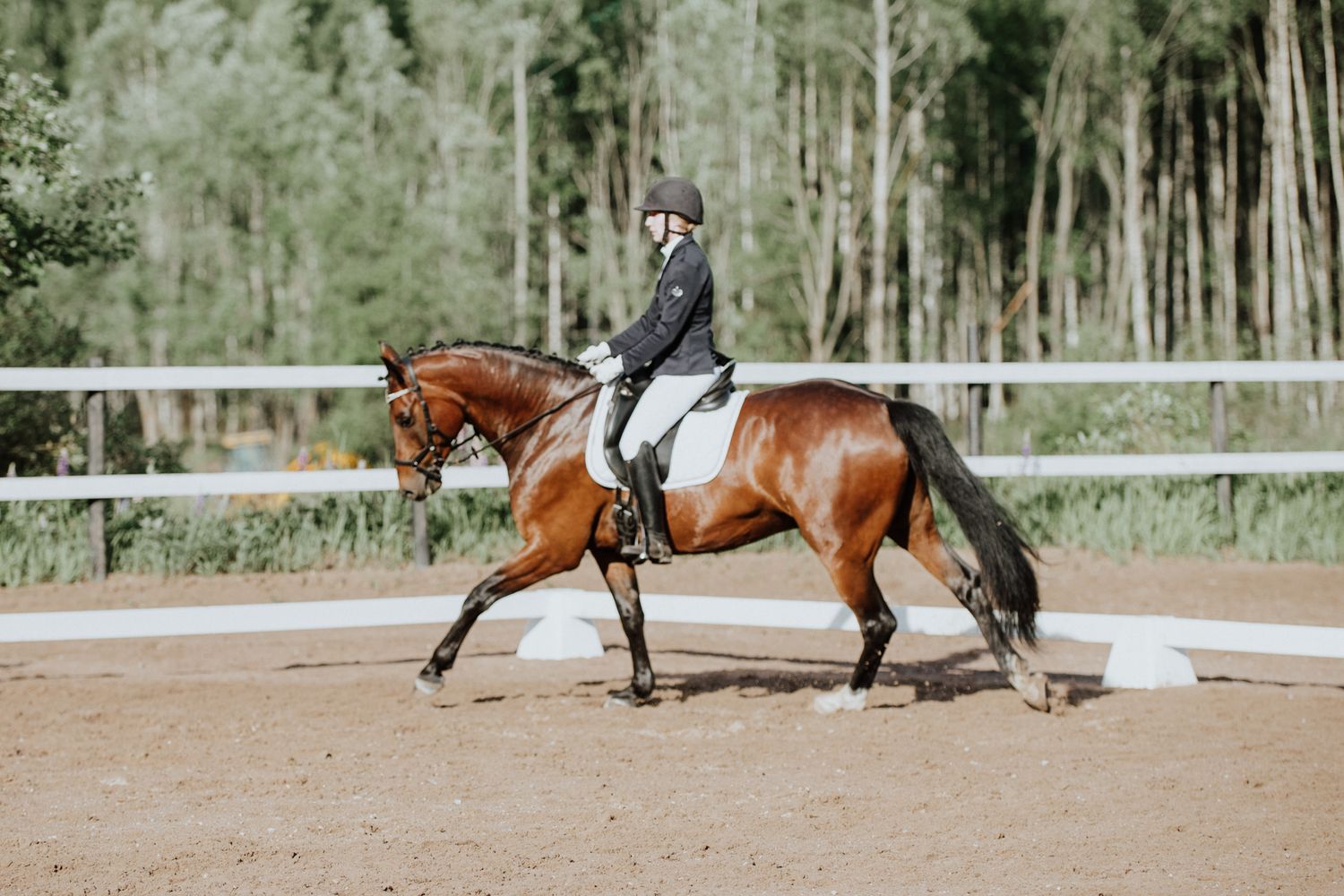 Dressage rider performing on a chestnut horse in an outdoor arena.