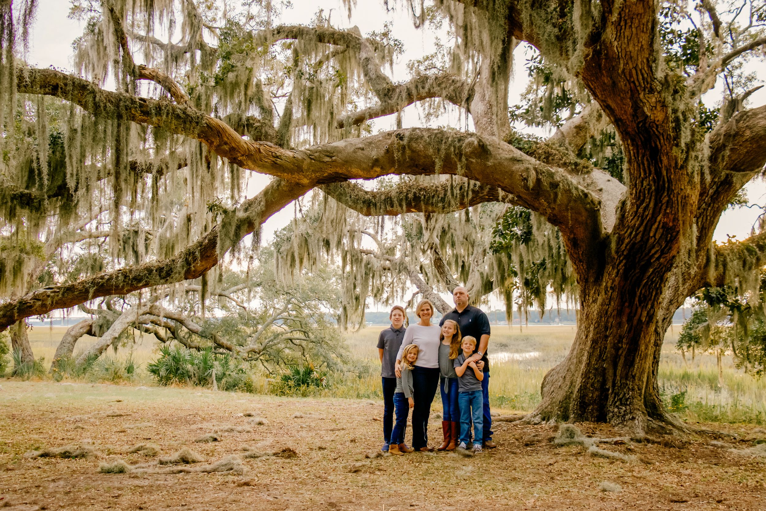 A majestic oak tree with Spanish moss in a natural outdoor setting.