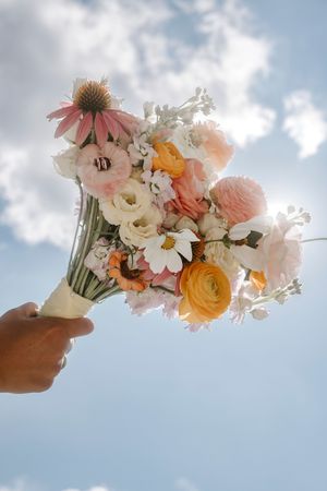 Delicate pink and white flowers held up against a bright blue sky with puffy clouds.