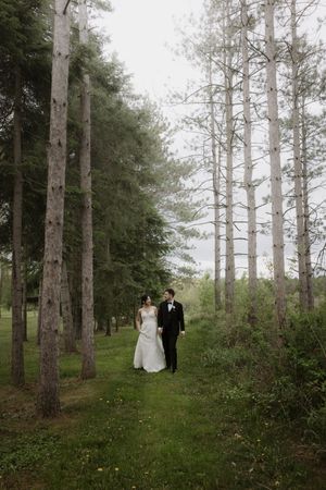 Wedding couple walks through grove of tall pine trees on misty day.