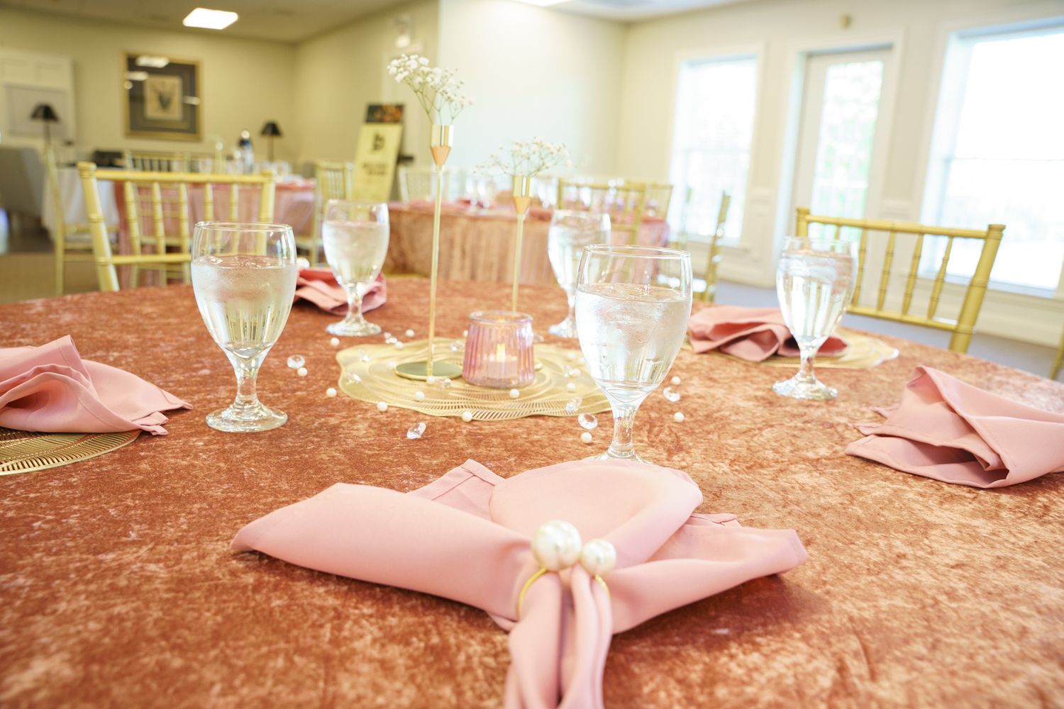 Bellinis with BAABS_Ironwood Country Club_Event Photographer_CND Photography, LLC