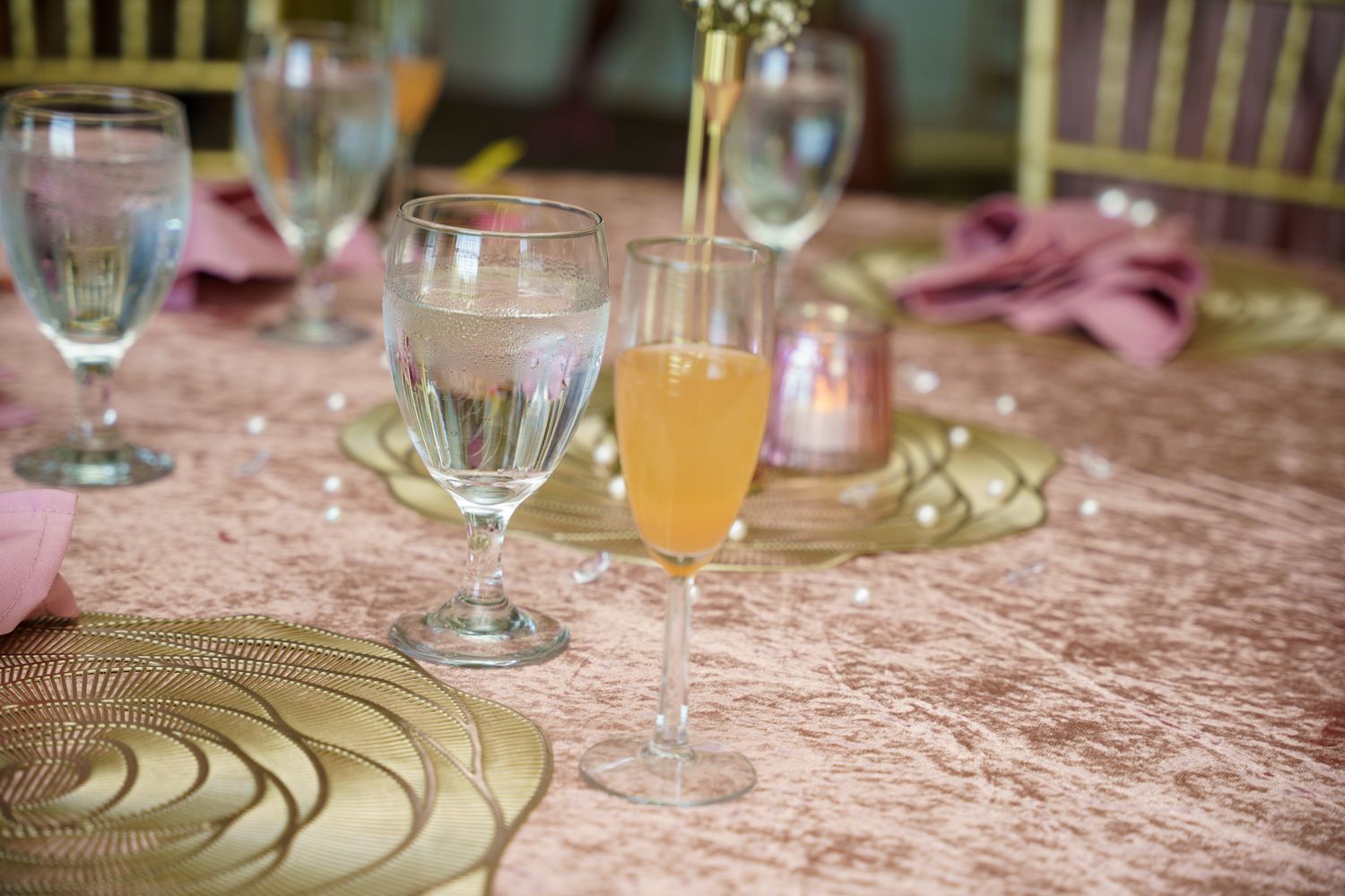 Bellinis with BAABS_Ironwood Country Club_Event Photographer_CND Photography, LLC