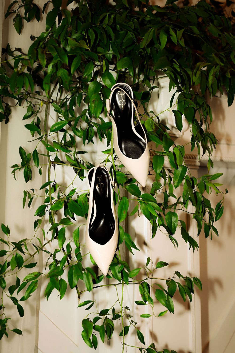 Lush green vines and leaves cascade down from above creating a natural hanging garden effect.
