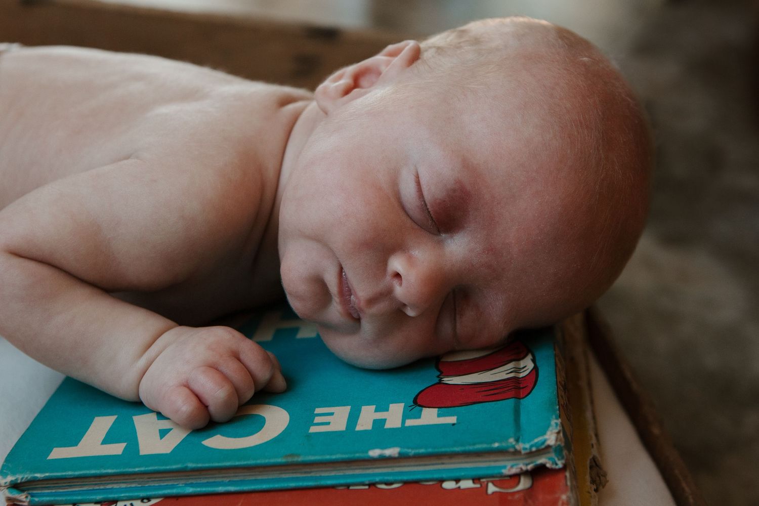 Newborn photo session