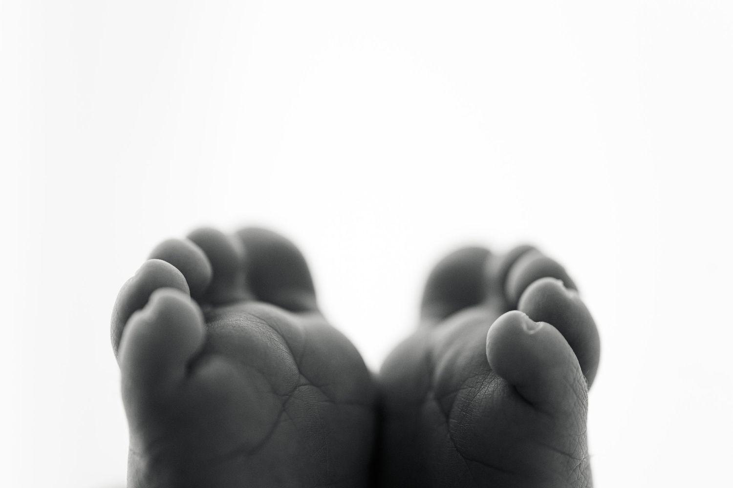 Black and white close-up of tiny newborn baby feet against a white background.