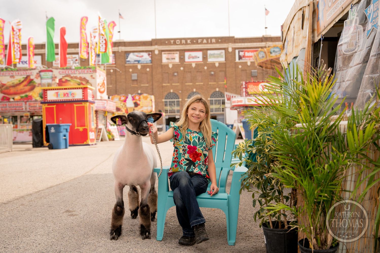 Light-colored show animal sits with handler in turquoise chair at county fair.