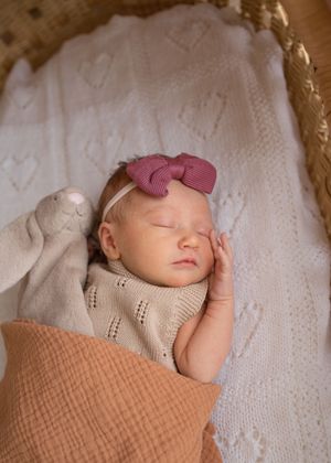 Close up shot of a newborn holding their lovie laying in bassinet. Wrightstown NJ Maternity and Newborn Photographer