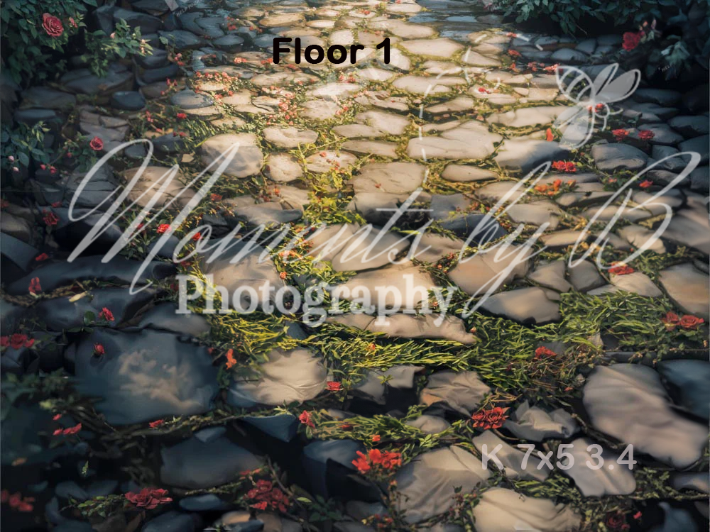 Stone pathway surrounded by autumn leaves and green moss with text overlay reading 'Floor 1' and 'Moments by B Photography'.