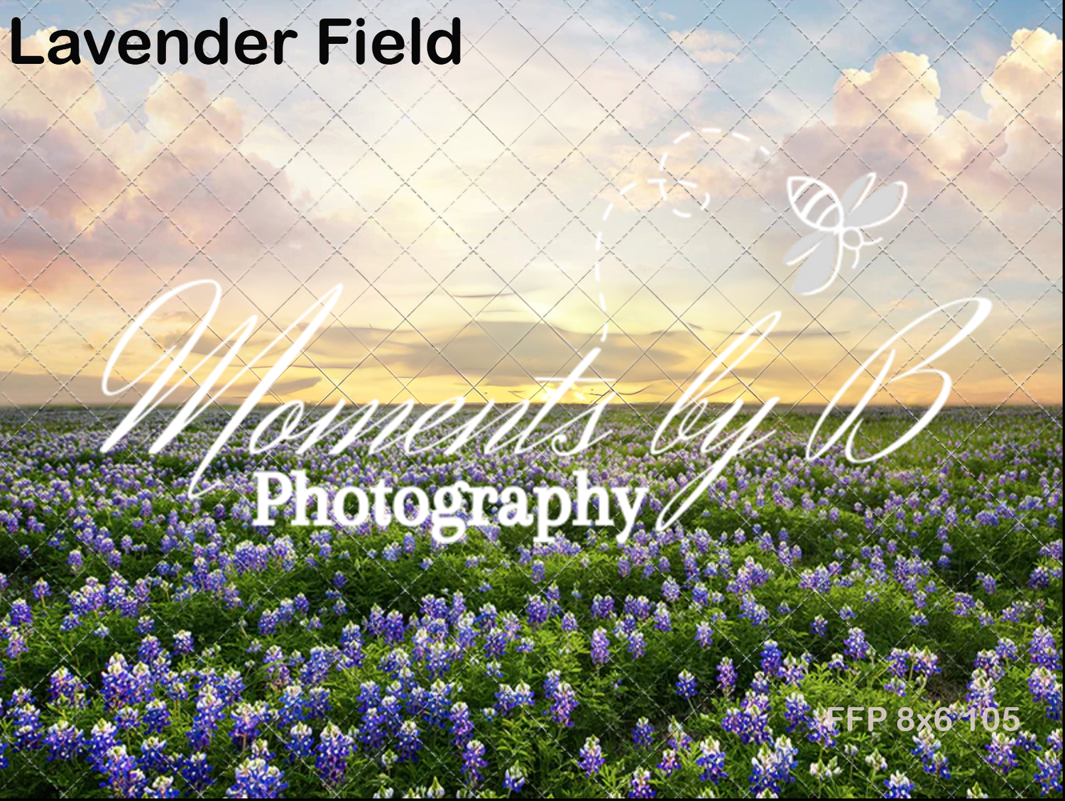 Sunset over a blooming lavender field with fluffy clouds in the sky.