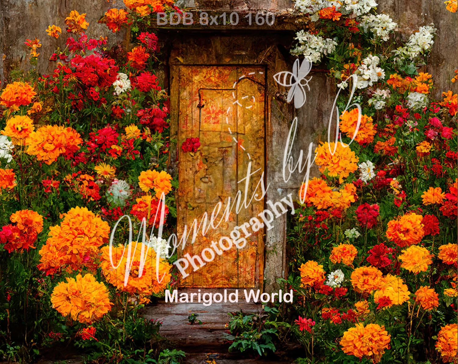 Rustic wooden door surrounded by vibrant orange and red marigold flowers in full bloom.