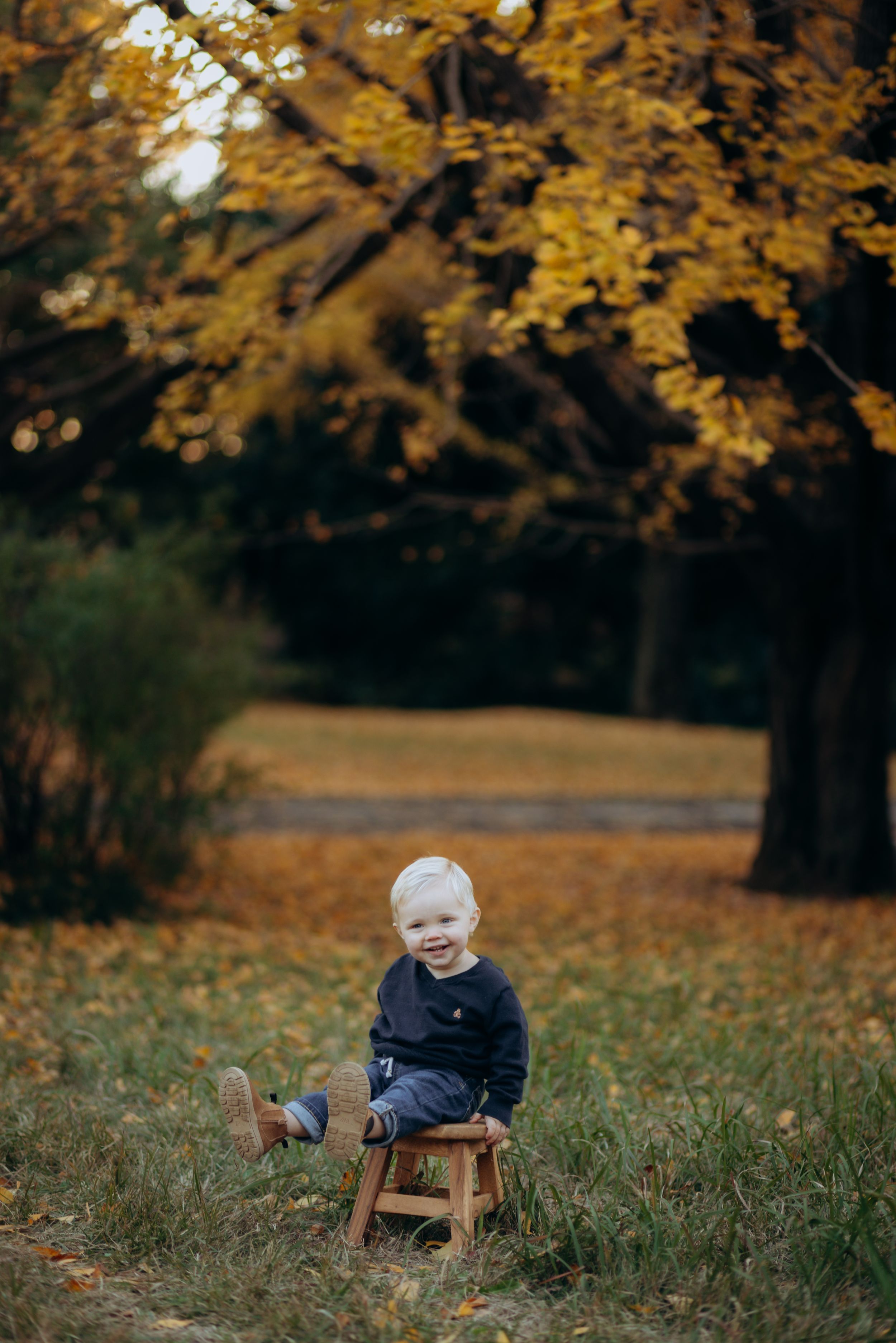 Small child sits on wooden stool under golden autumn trees with fallen leaves scattered on ground.
