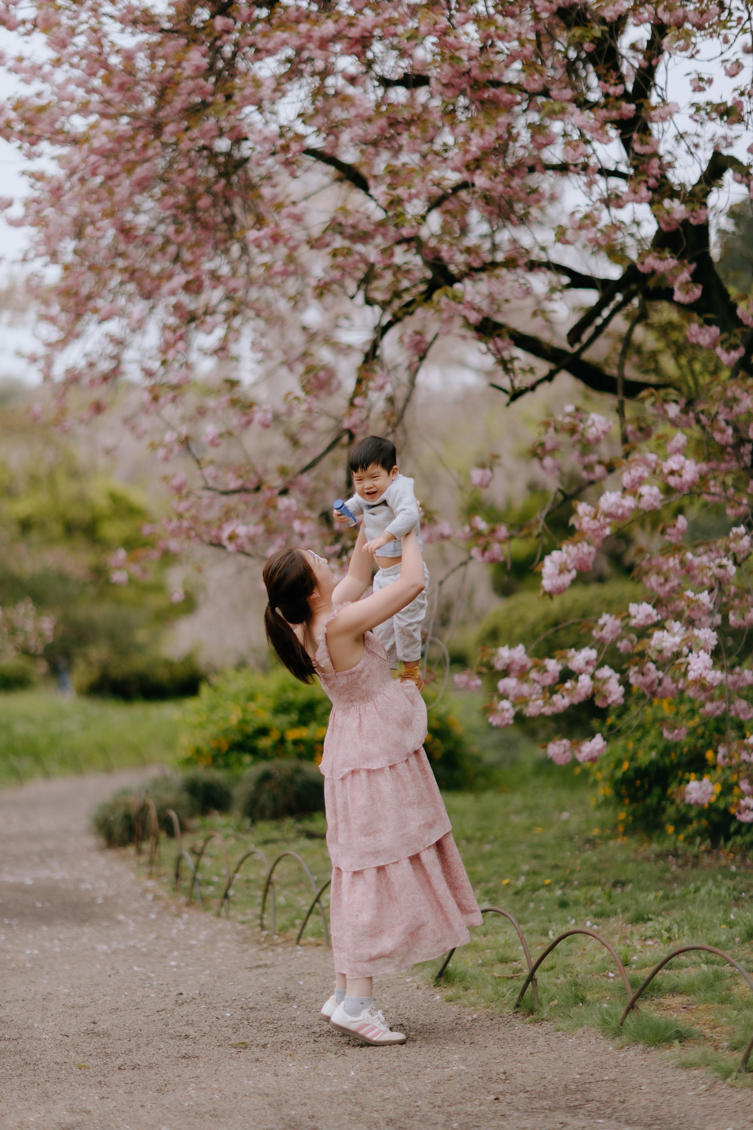 A series of photos showing a child in a pink dress playing under blooming cherry blossom trees in springtime.
