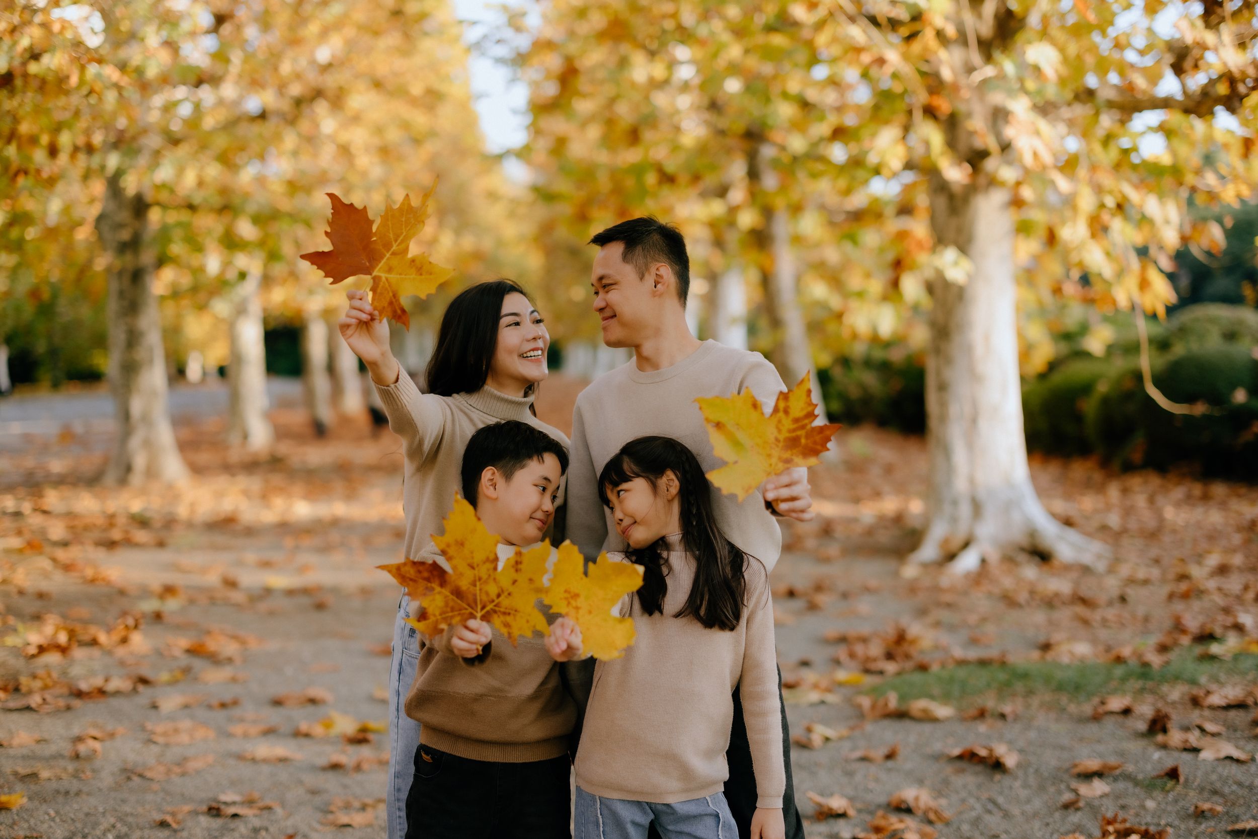 A family in warm sweaters plays with autumn leaves in a park during fall season with golden foliage in background.