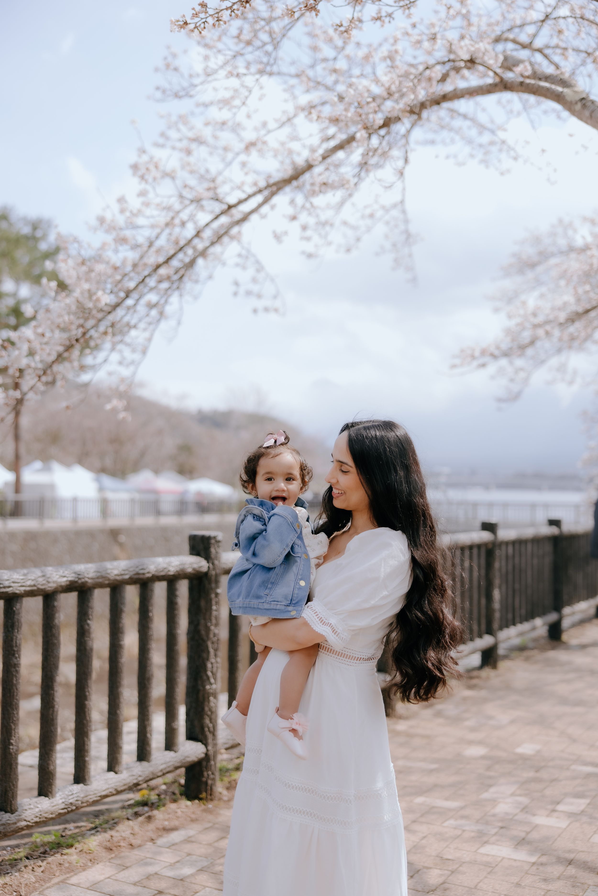 A tender moment captured along a wooden boardwalk with cherry blossoms blooming overhead on a spring day.