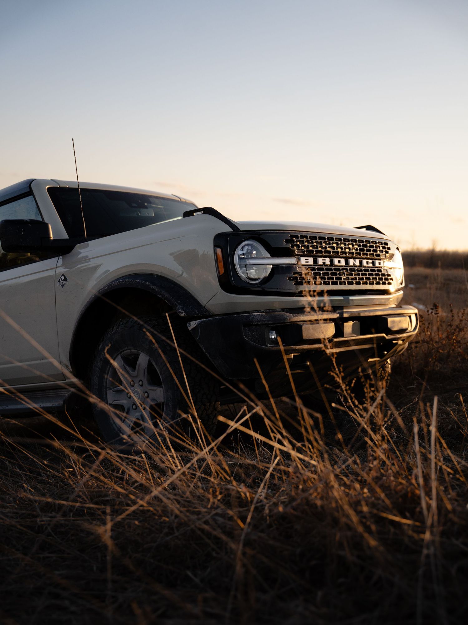 White Ford Bronco parked in a golden field at sunset, showcasing its rugged front grille and off-road capabilities.