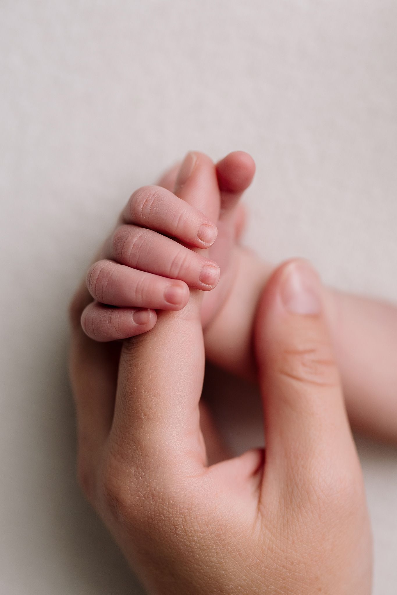 pricing for maternity and newborn photography in the Kansas city Missouri area
