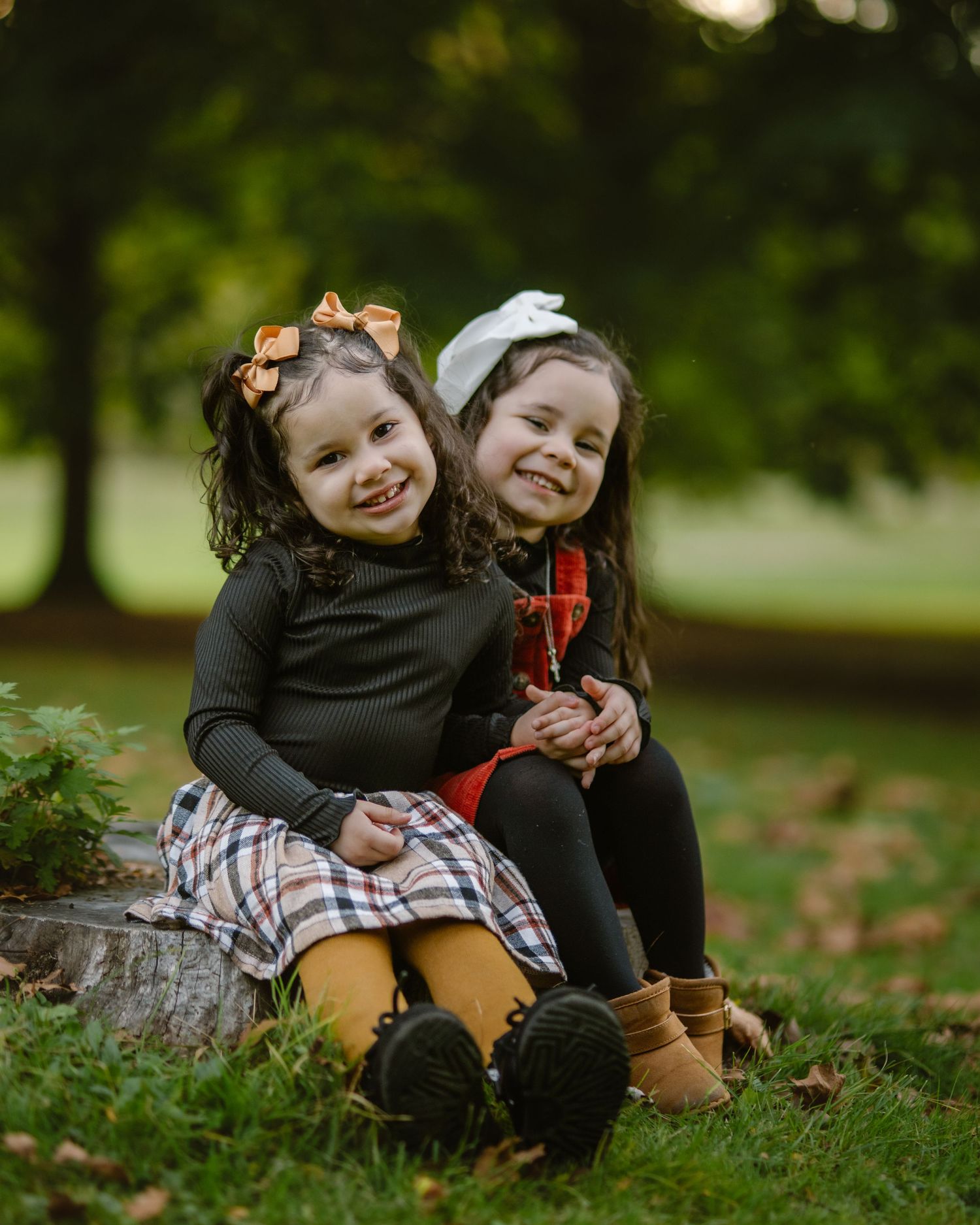 Family photography Family Photographer Family portraits