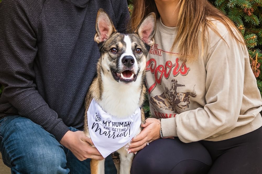 Smiling dog wearing a bandana poses with owners for a pet portrait.