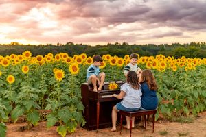 Children playing piano in a vibrant sunflower field at sunset with dramatic cloudy sky.