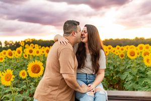 Couple laughing and embracing in a vibrant sunflower field at sunset with dramatic purple clouds.