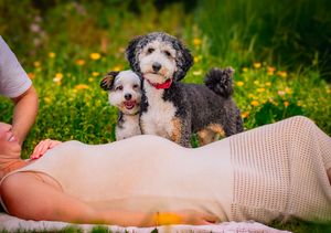 Candid maternity photo with puppies guarding the baby bump