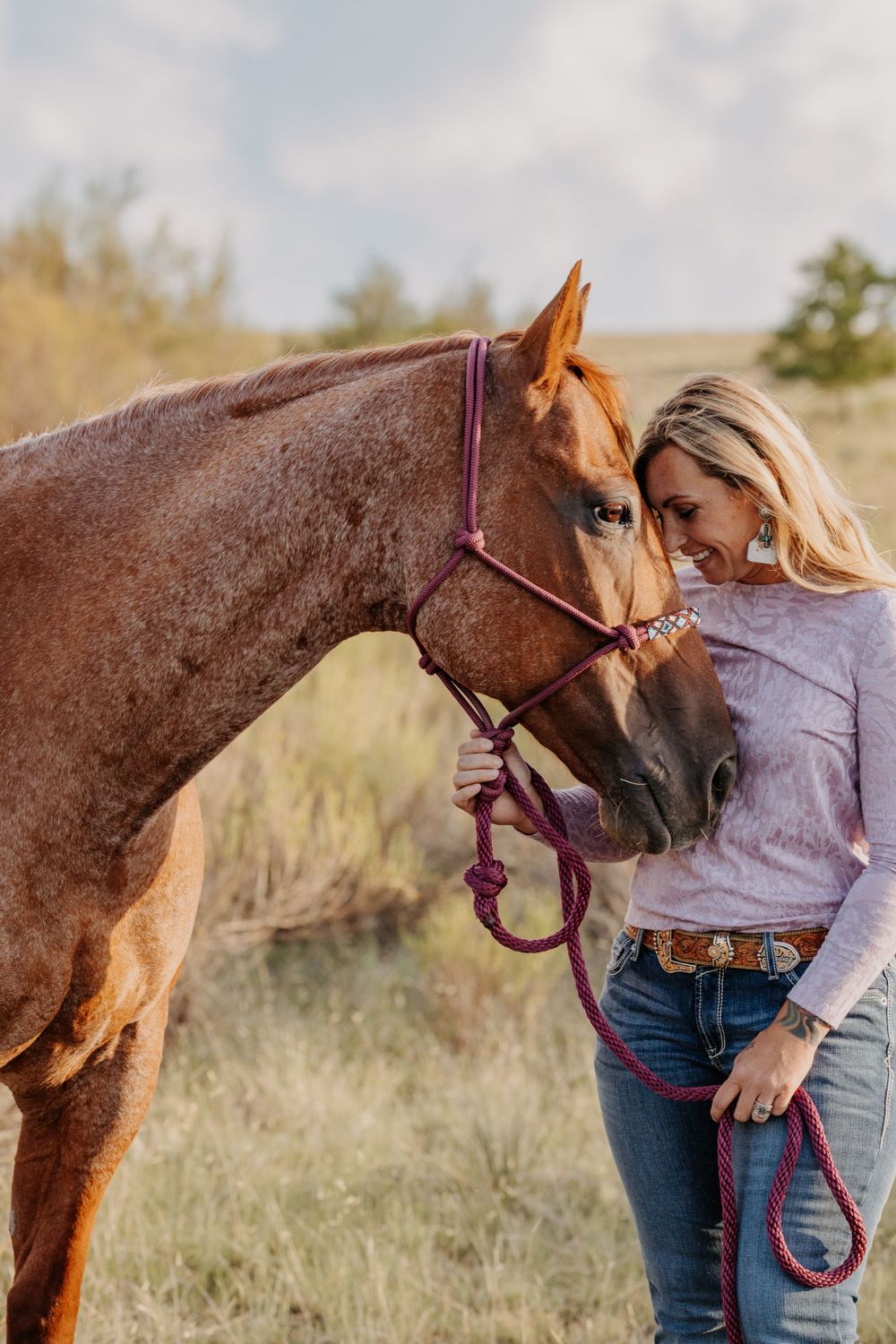 equine photos in Hohenfels, Bavaria
