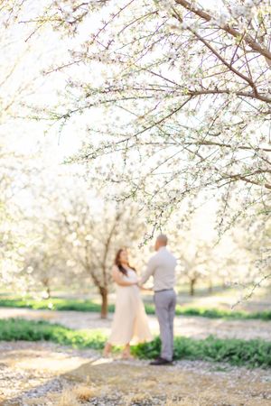 Couple holding hands among blooming white cherry blossom trees in a sunlit orchard, woman in white dress.