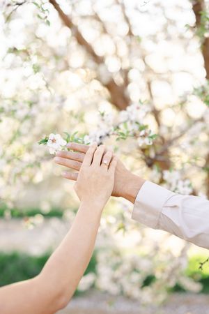 Two hands touching near blooming white flowers on a tree, with one hand wearing a diamond engagement ring.