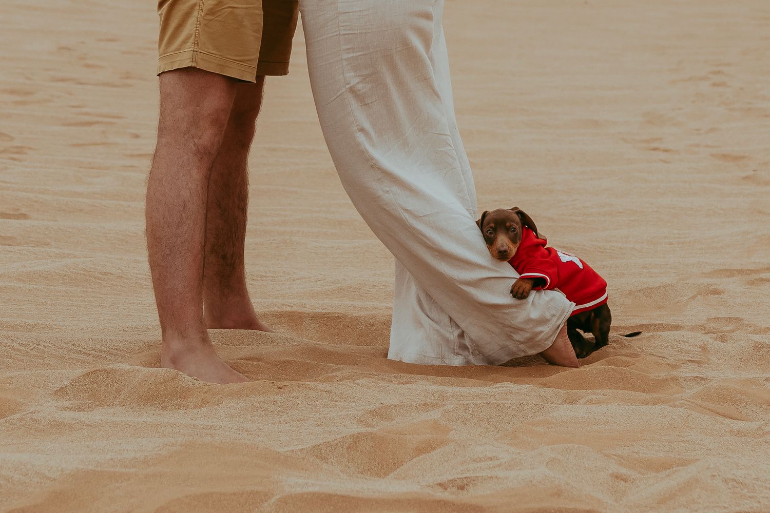 A couple with their dog in the Namib Desert dunes, surrounded by golden sand and vast open skies, capturing a moment of adventure