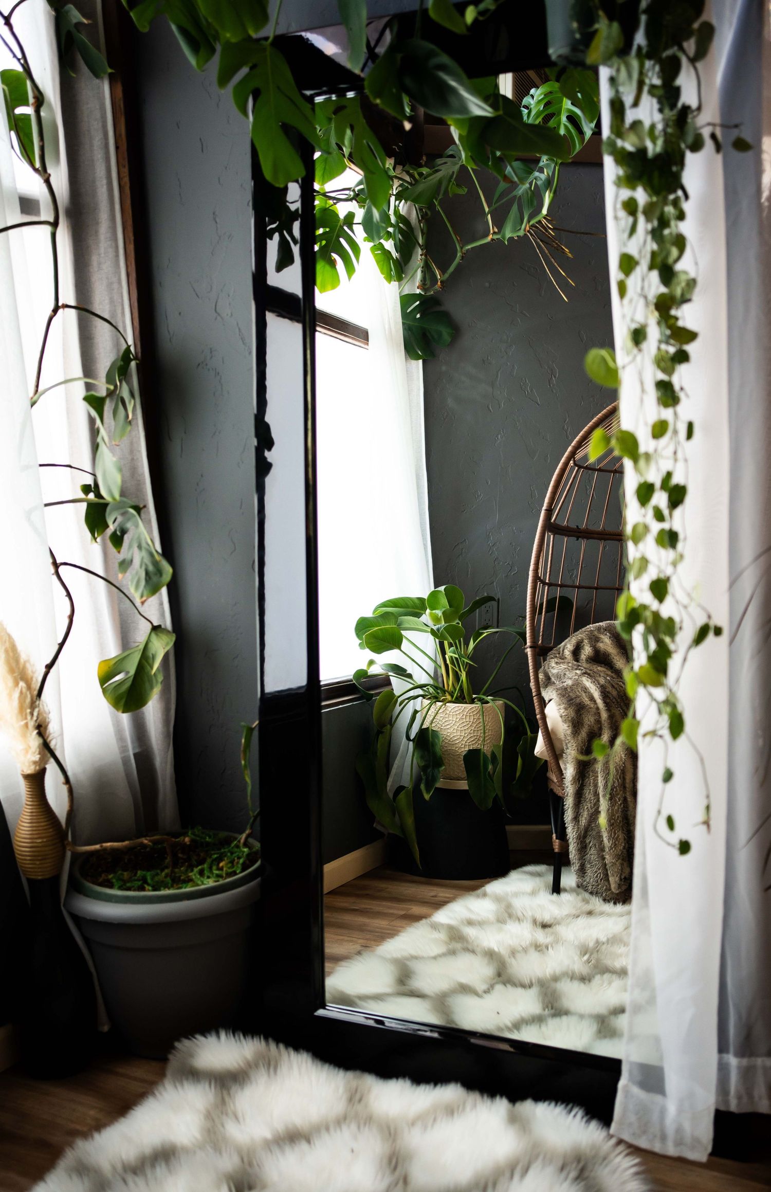 Indoor jungle scene with hanging plants and natural window light.