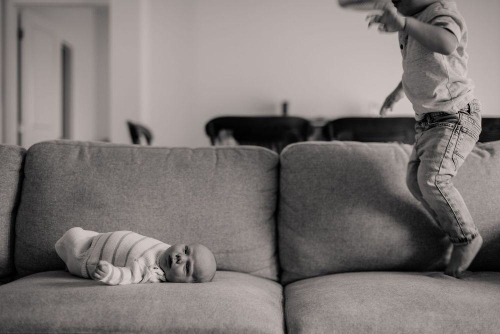 Black and white photo of a playful scene on a living room couch with natural lighting and movement.