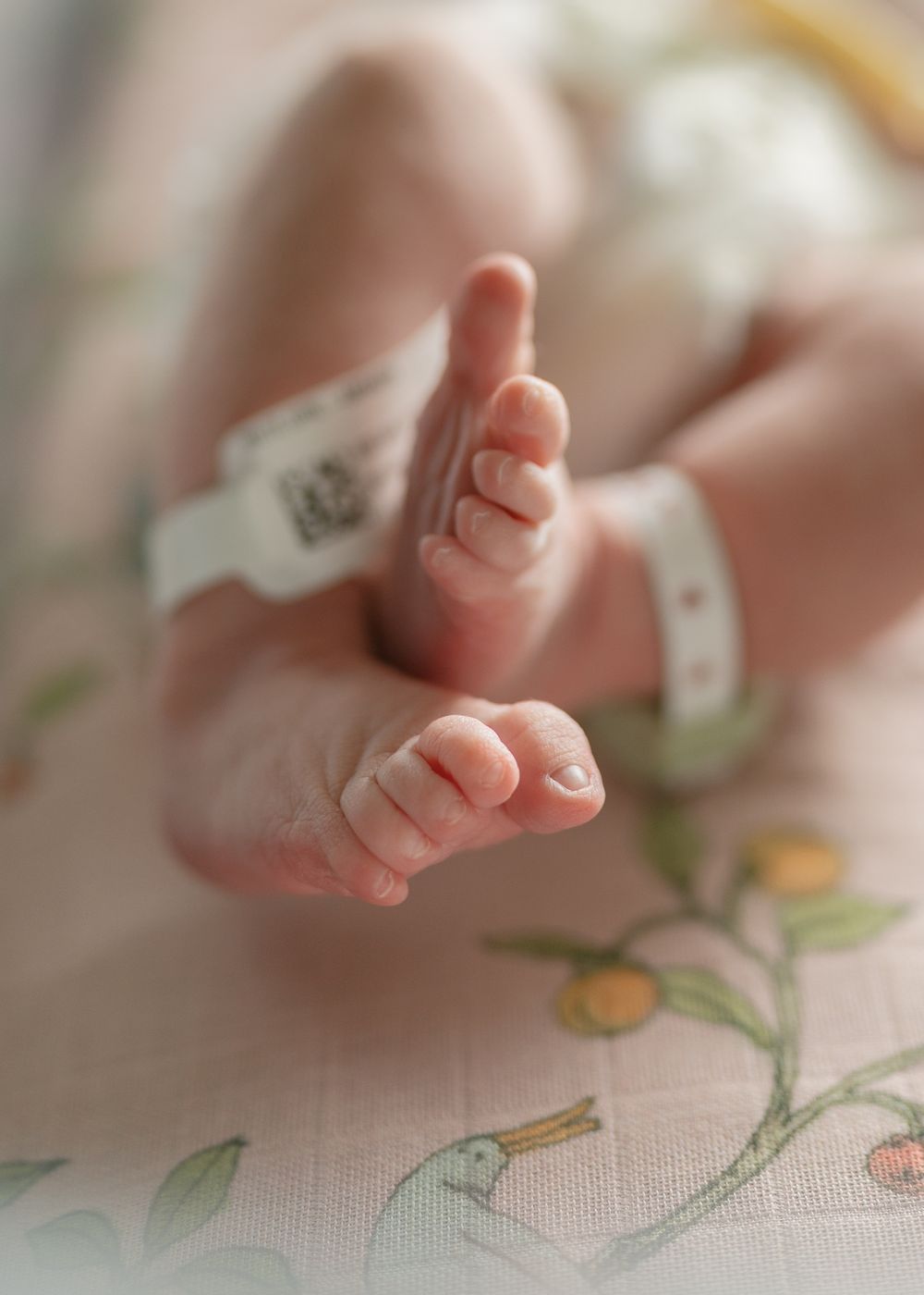 Close-up of newborn baby feet with hospital identification bracelet on floral blanket.