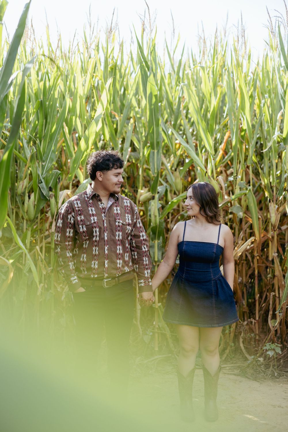 A couple walks together through a tall cornfield on a sunny day, surrounded by green stalks.