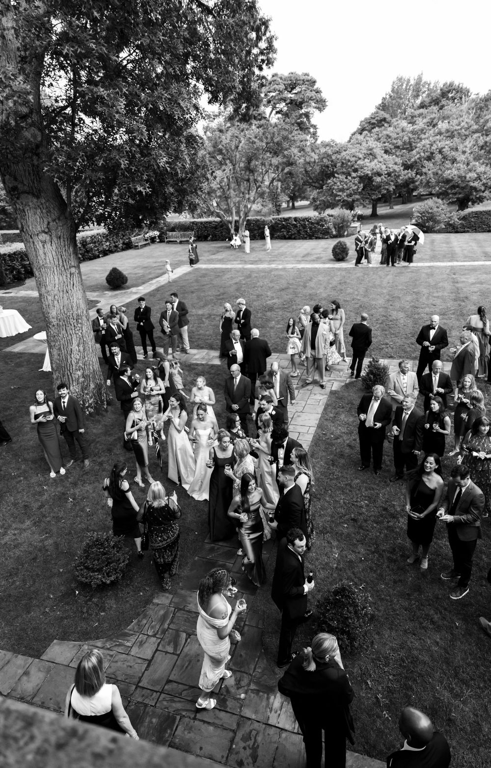 A group of wedding guests gather outdoors on a grassy hillside during a formal event reception.
