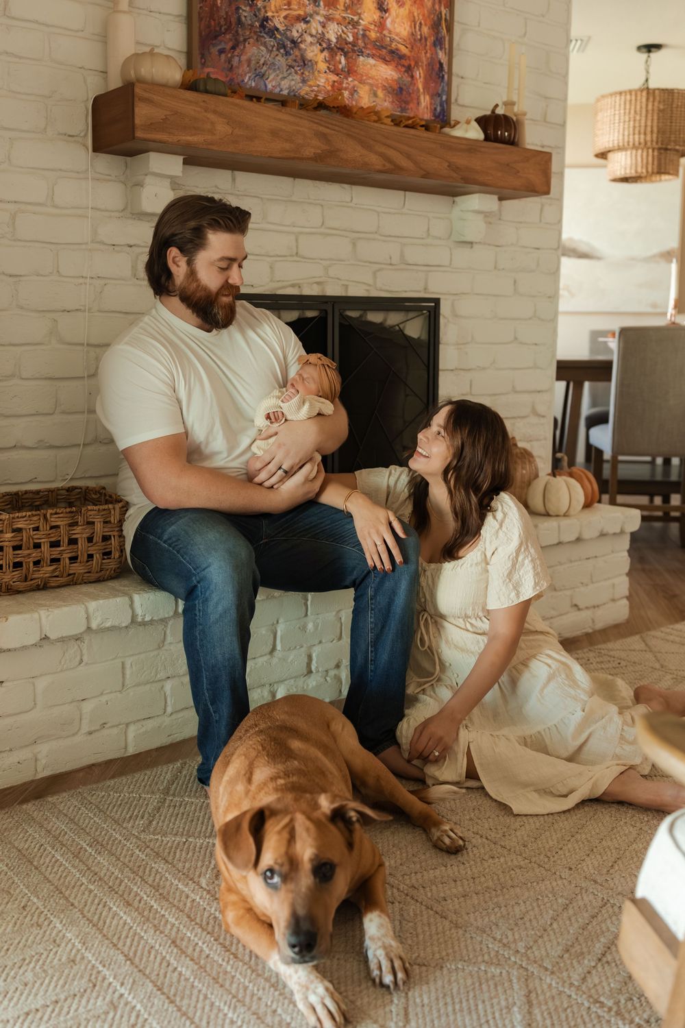 A series of four photos showing a brown dog sitting on a carpet near people in a room with white brick walls.