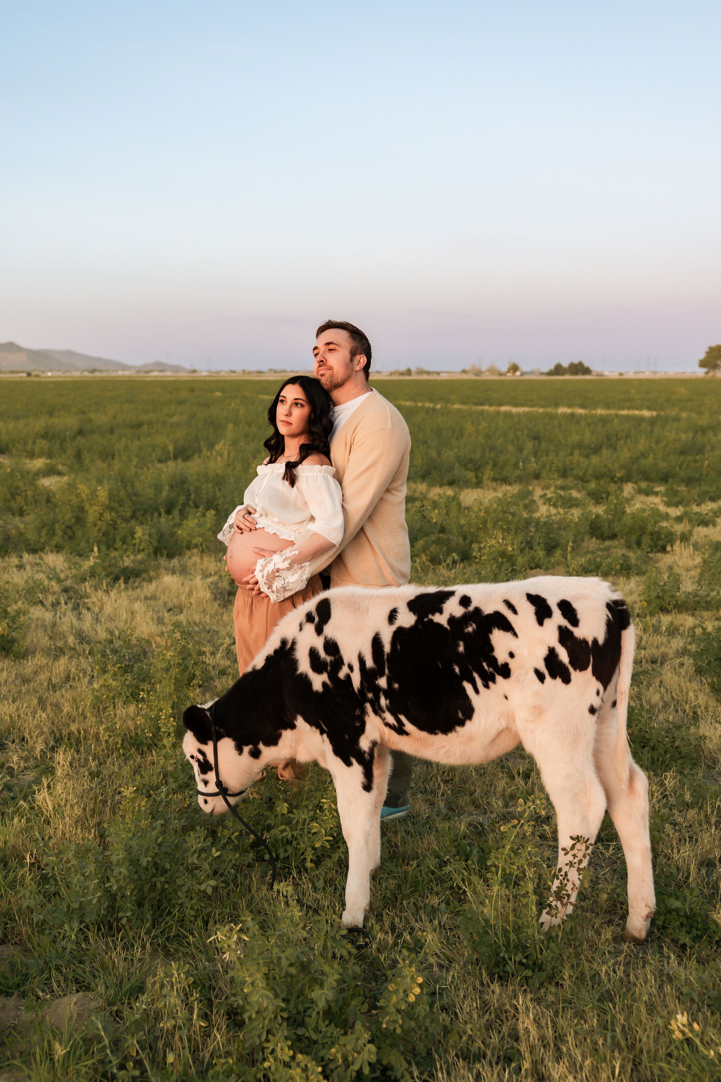 Three artistic photos of a couple sitting together on a Holstein dairy cow in a green pasture at sunset.