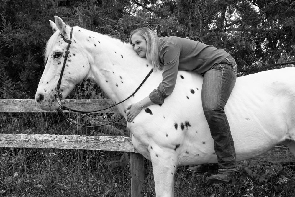 horse portrait shoot in paris kentucky, kentucky equine photographer
